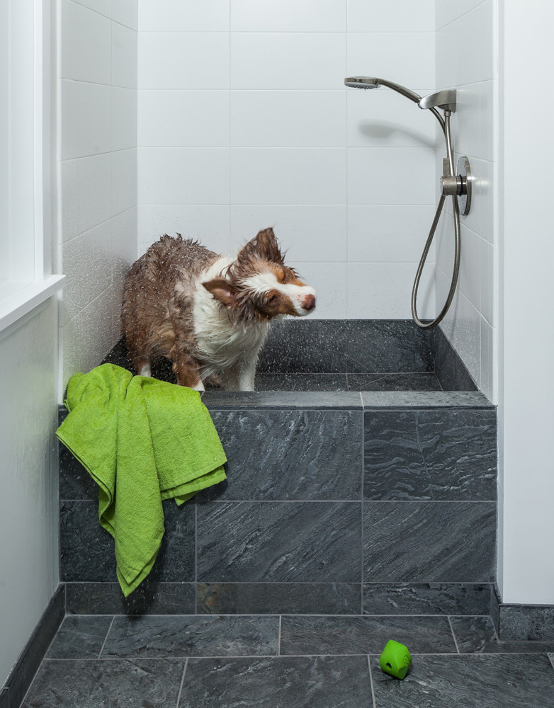 Как справиться с грязью, которую приносят домой животные