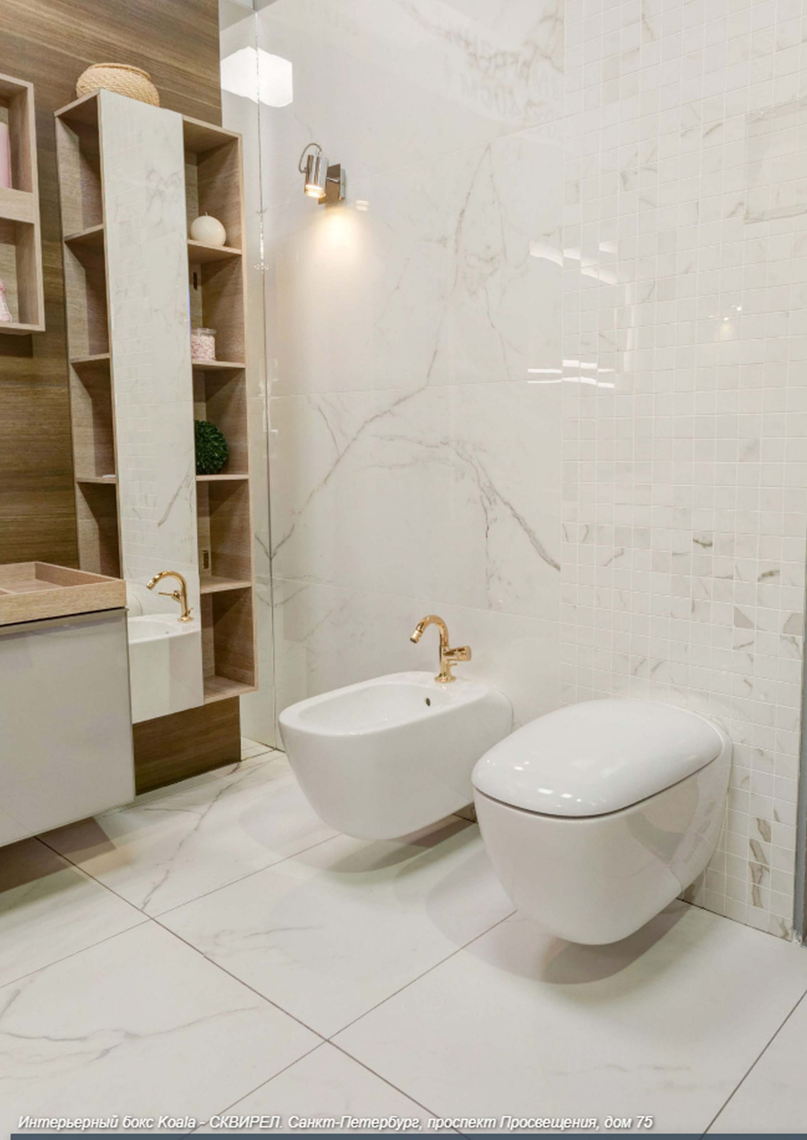 Обложка проекта: Проект Koala