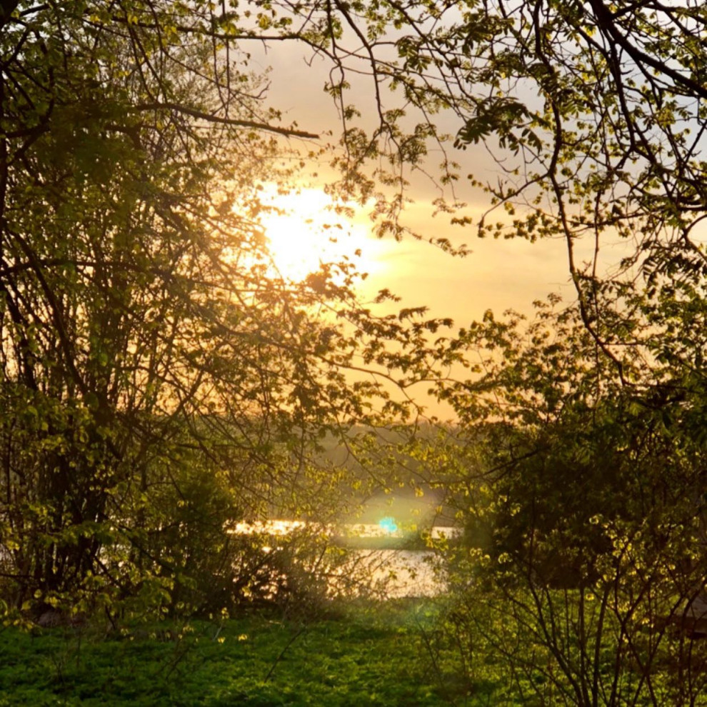 Обложка проекта: Пермакультурная агроусадьба. Рыбные пруды