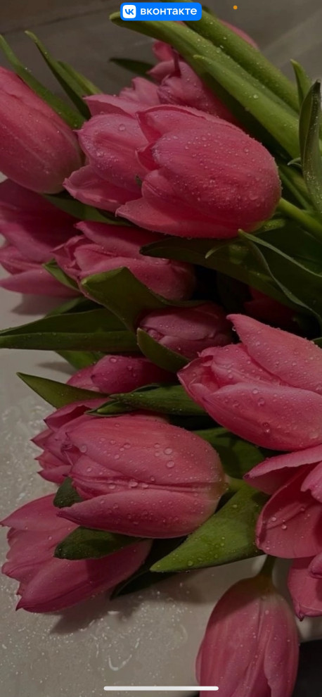 Ольга Мазалина