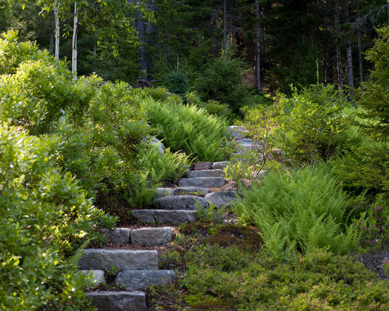 Ландшафтный дизайн на лесном участке