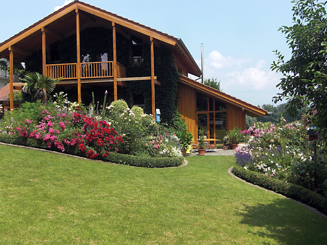 Розы в дизайне сада: Что они могут, а что нет