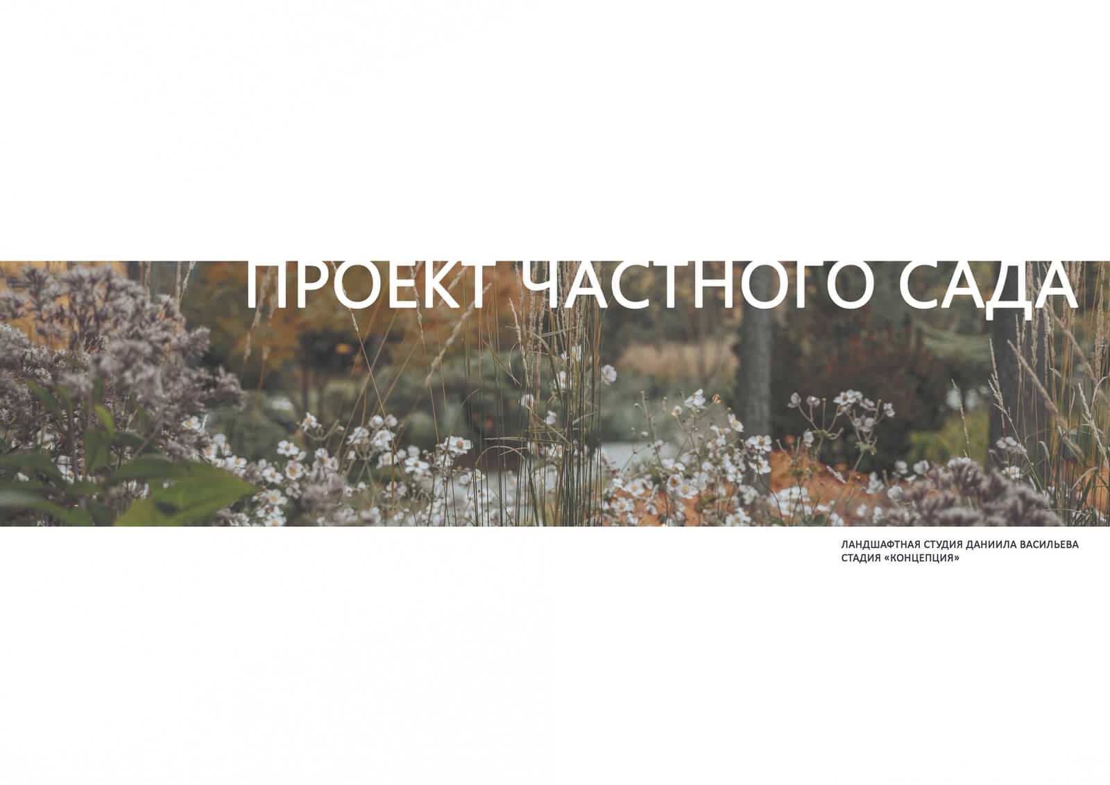 Даниил Васильев