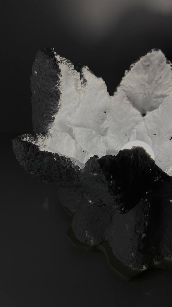 Обложка проекта: Бра Симметриада