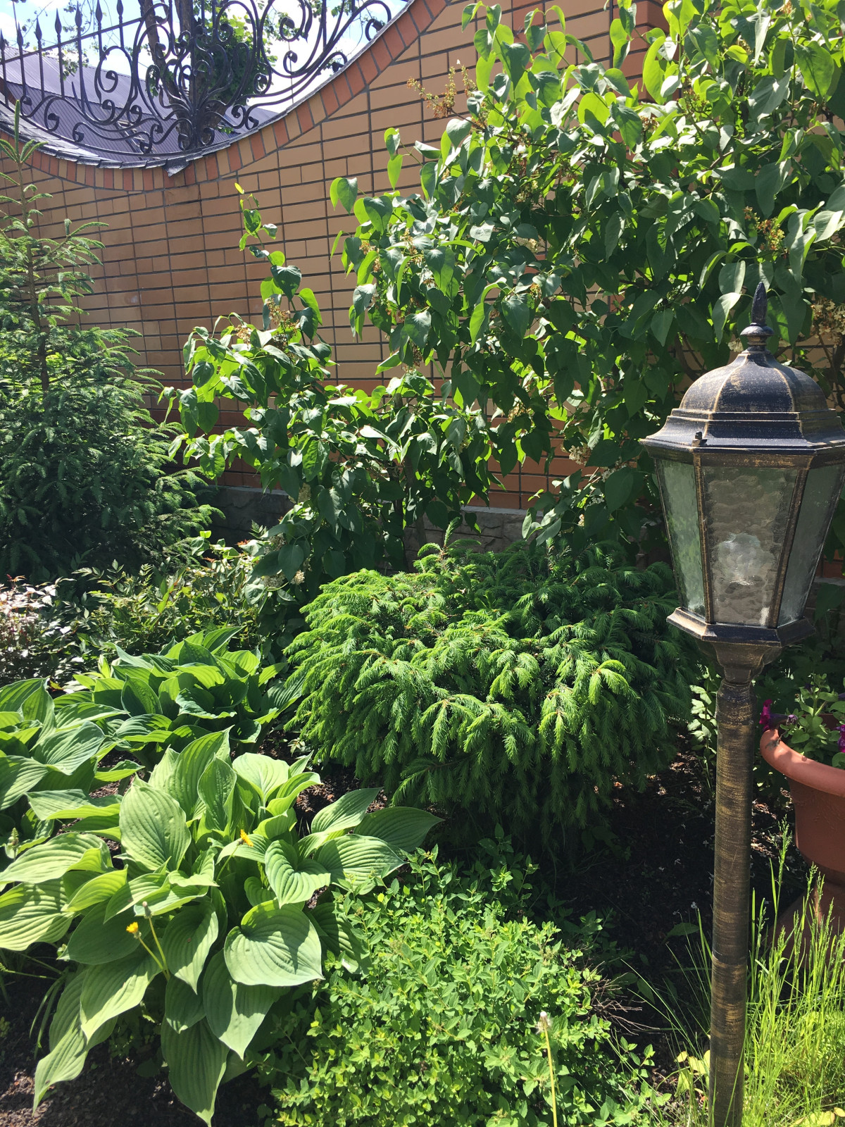 Ландшафтный дизайн участка 8,5 соток.