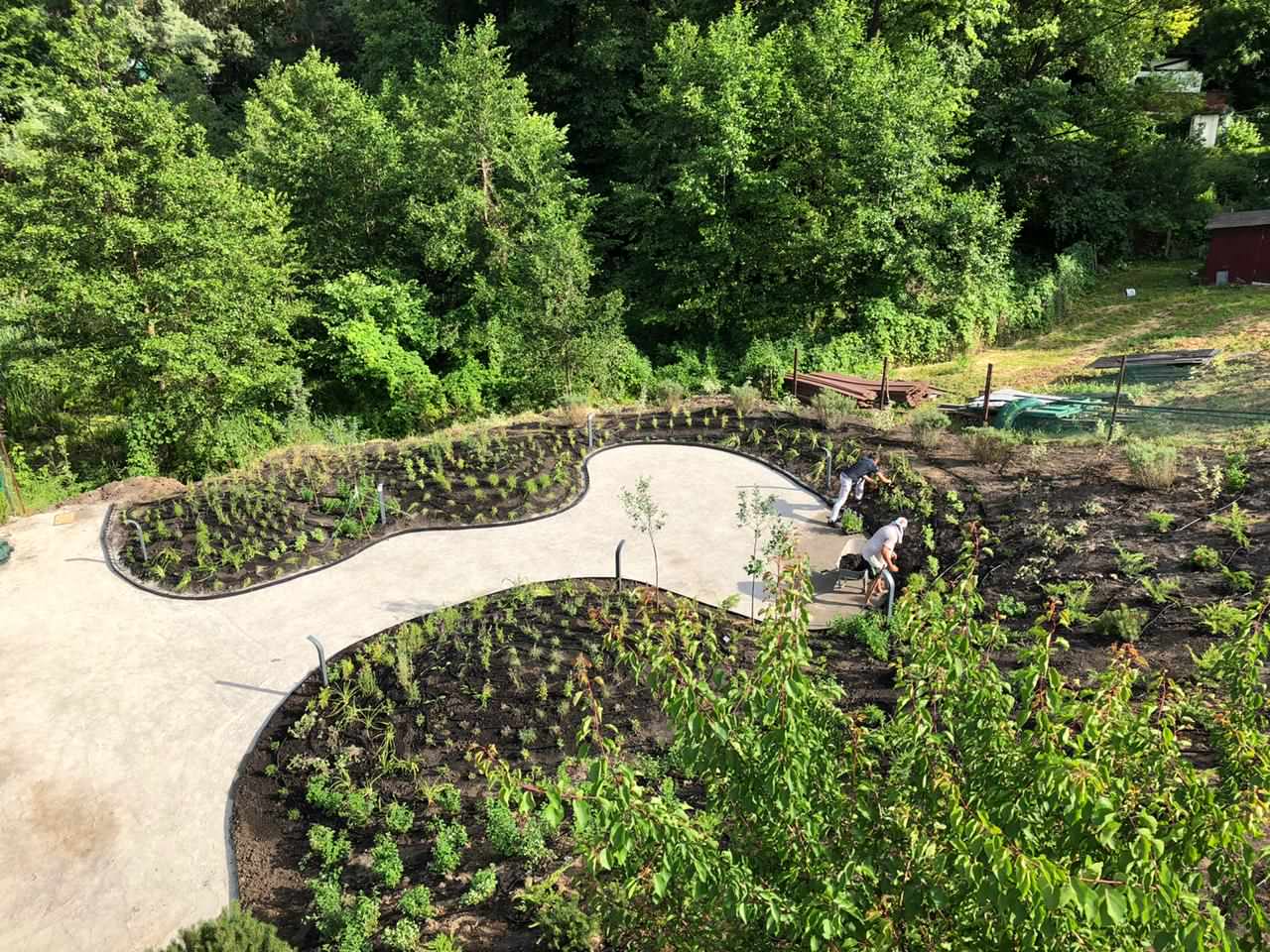 Сад на холмах - по мотивам Пита Удольфа.