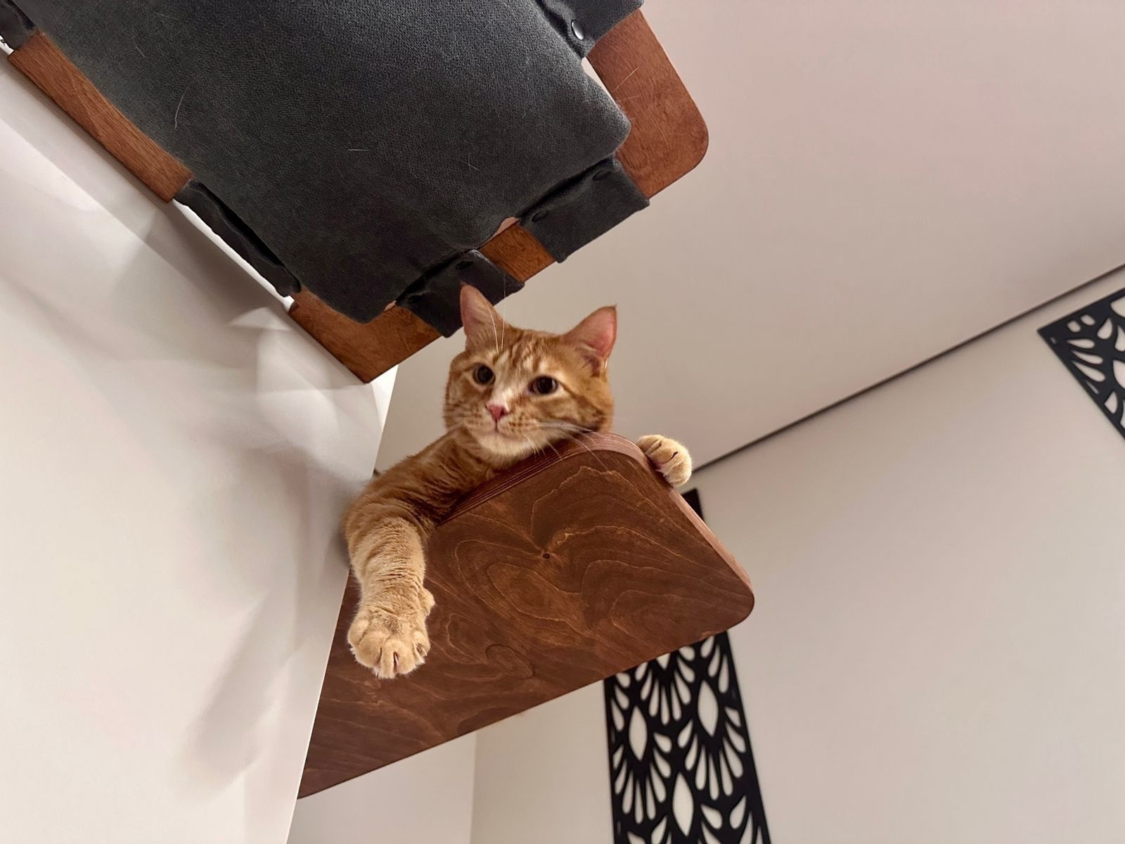 Настенный игровой комплекс для кошек