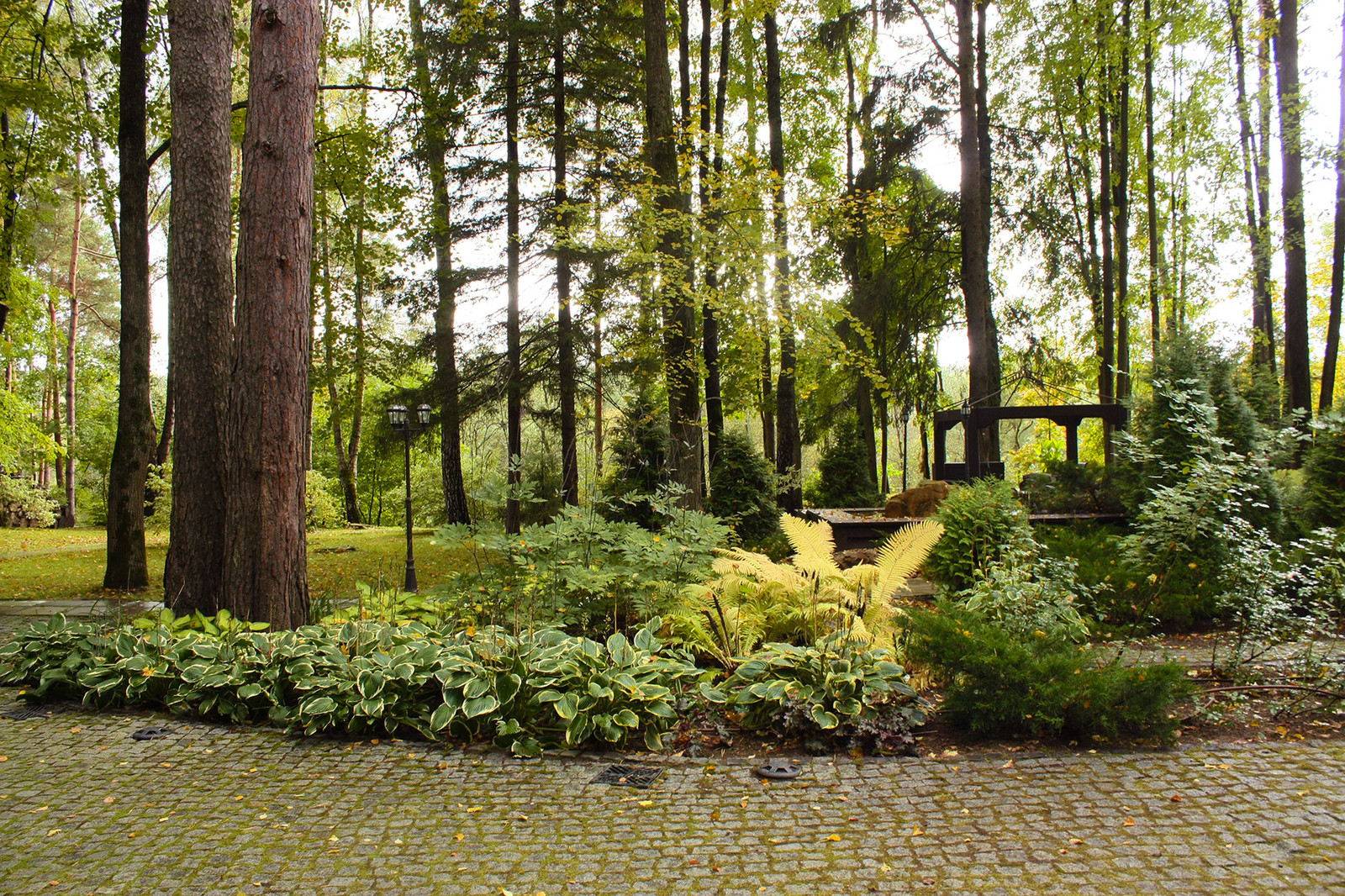 Ландшафтный проект лесного участка - ковровый цветник