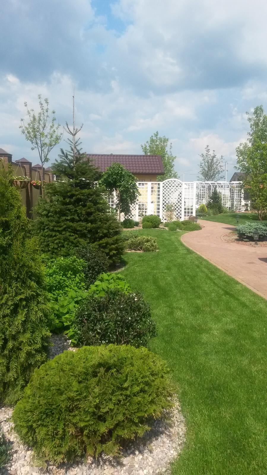 Цветы в саду