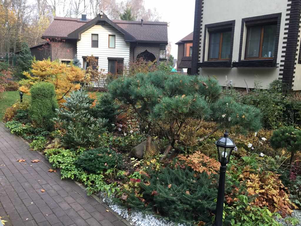 В гостях: Сад на 14 сотках, где живут круглый год