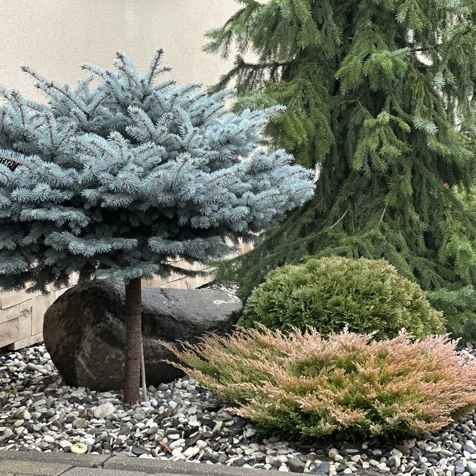 «КЛАССИКА ЖАНРА»