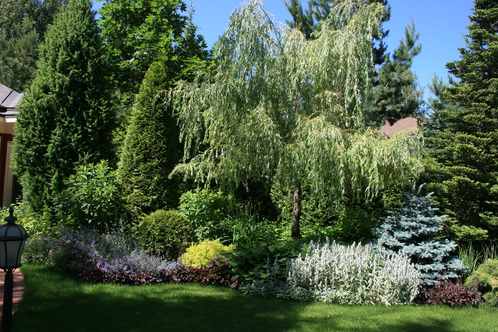 Сад с аурой