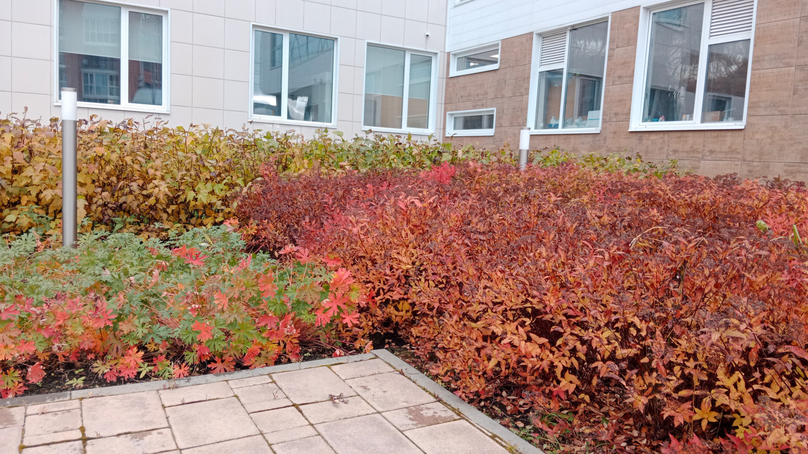 Парк Здоровье