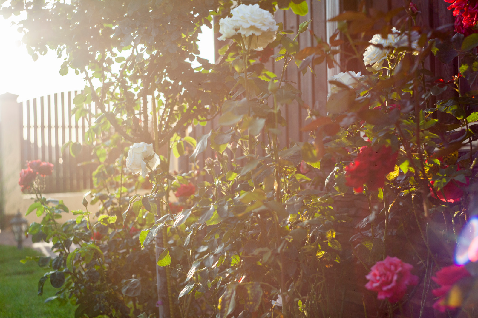 Ландшафтный дизайн в Новороссийске