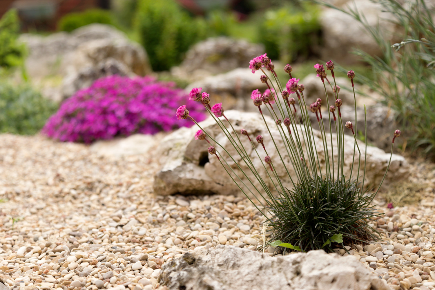 Обложка проекта: Новая Рига, Москва