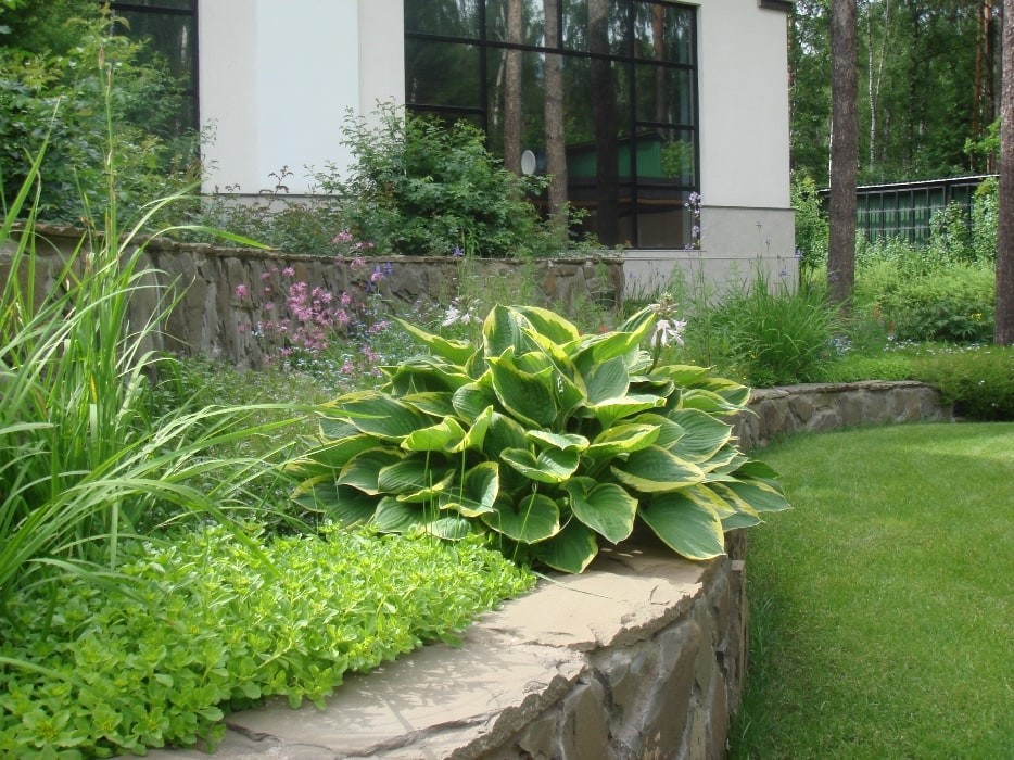 Рублево-Успенское шоссе. 55 соток.