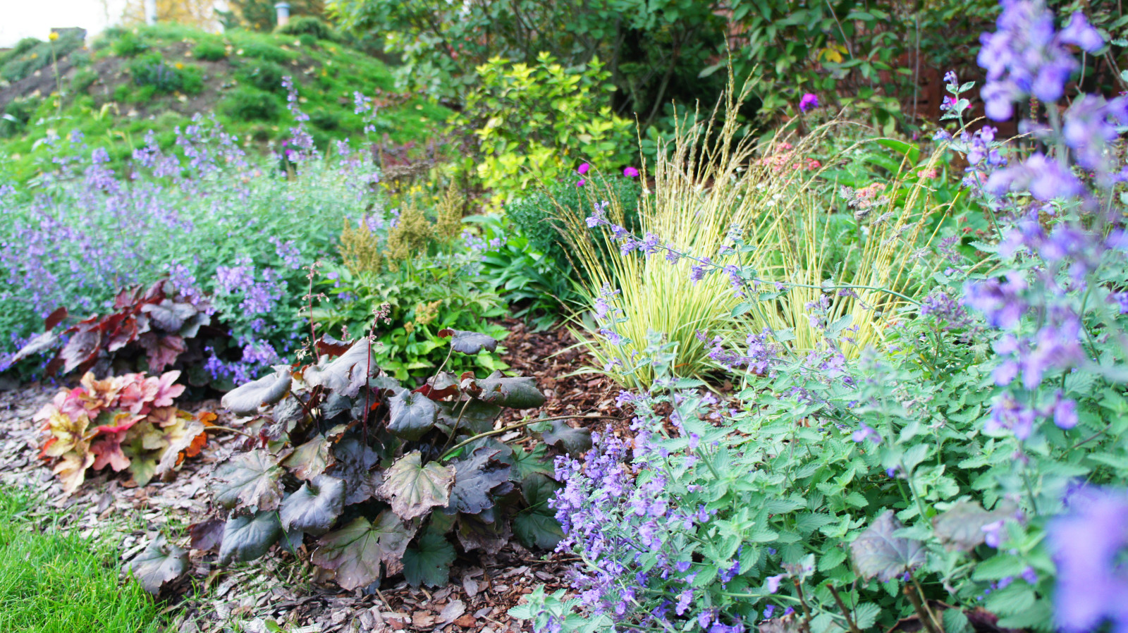 Прохорово 2016