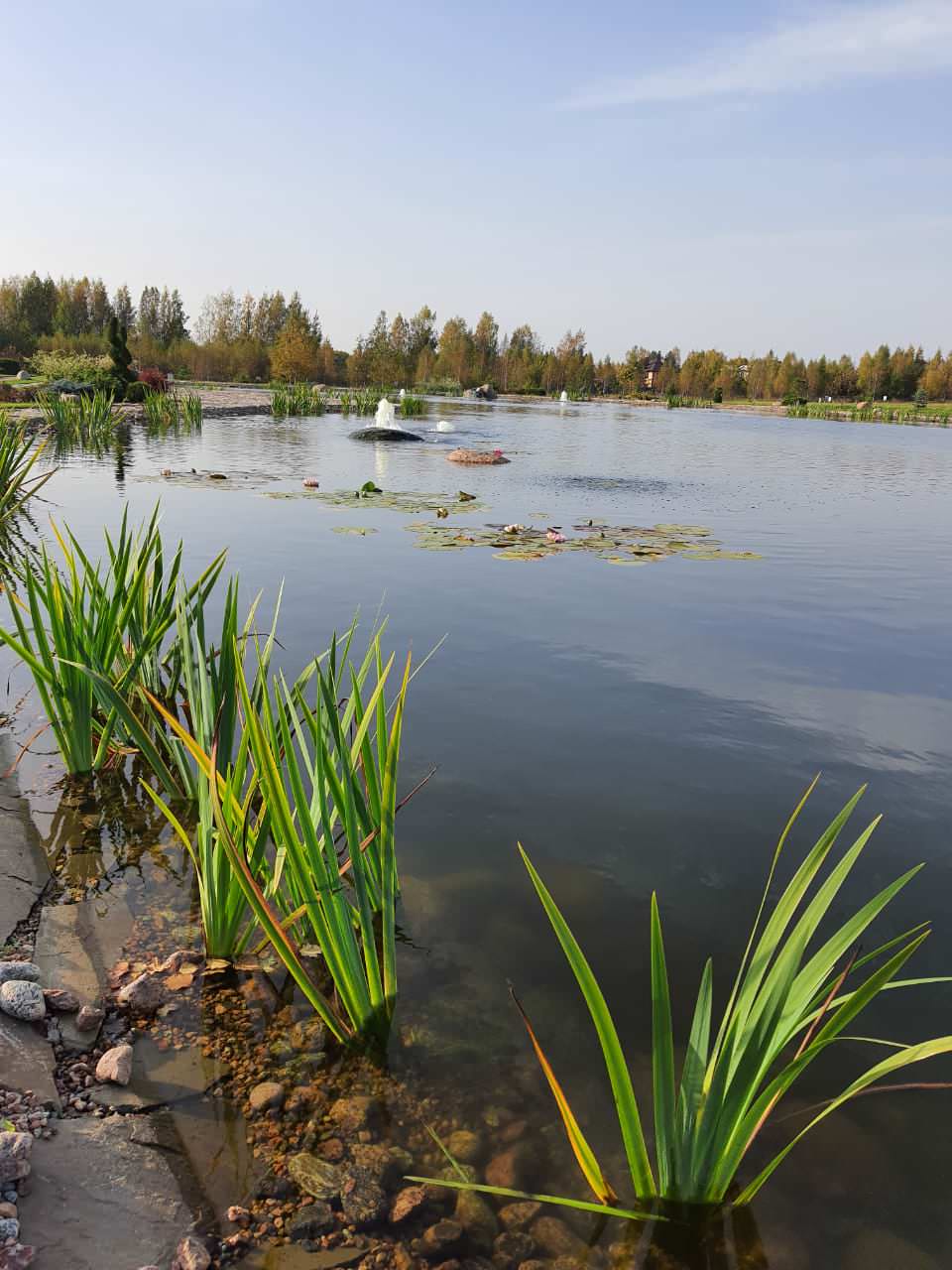 Декоративный водоём в п. Репино (Лен. обл.)