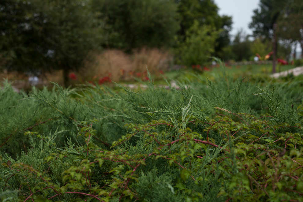 Обитель ветров, сад в Тверской области