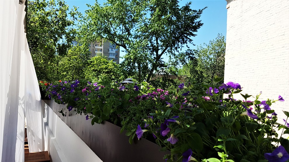 ресторан Аист на Малой Бронной