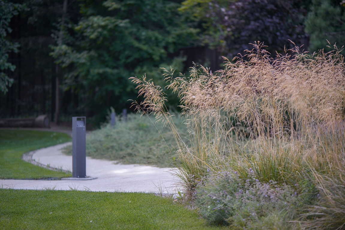 Успенский Лес