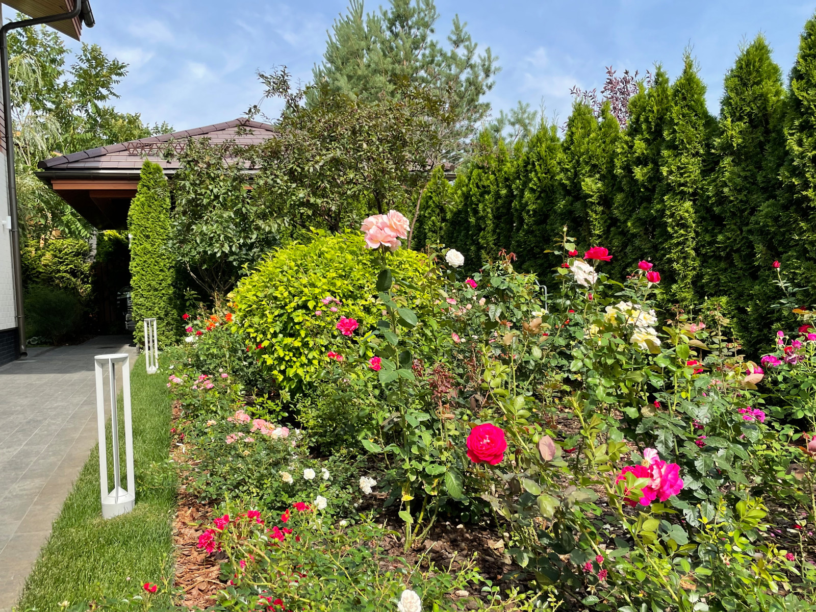 КП Пестово "Evergreen'