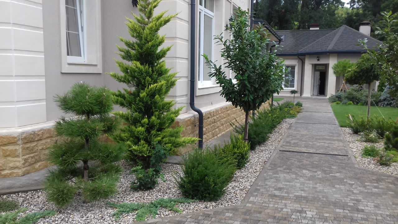 Озеленение частного дома в с.Мысхако