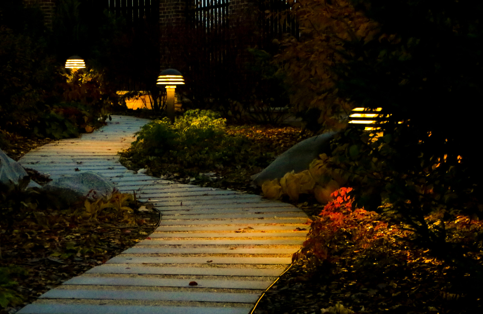 Горки-10, ночной сад, 2017-2020 гг.