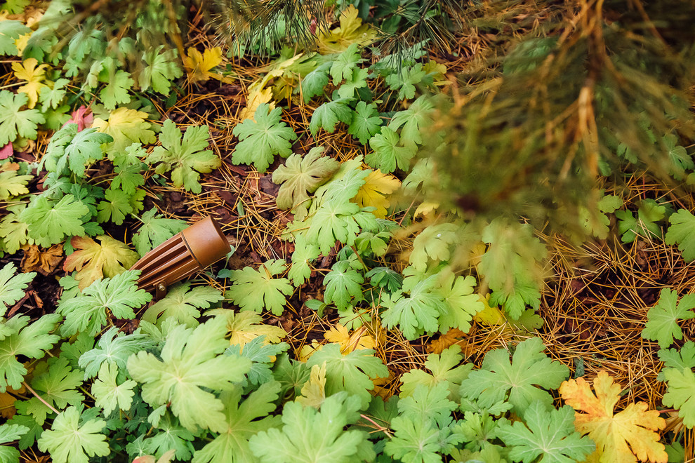 Хвойный переулок