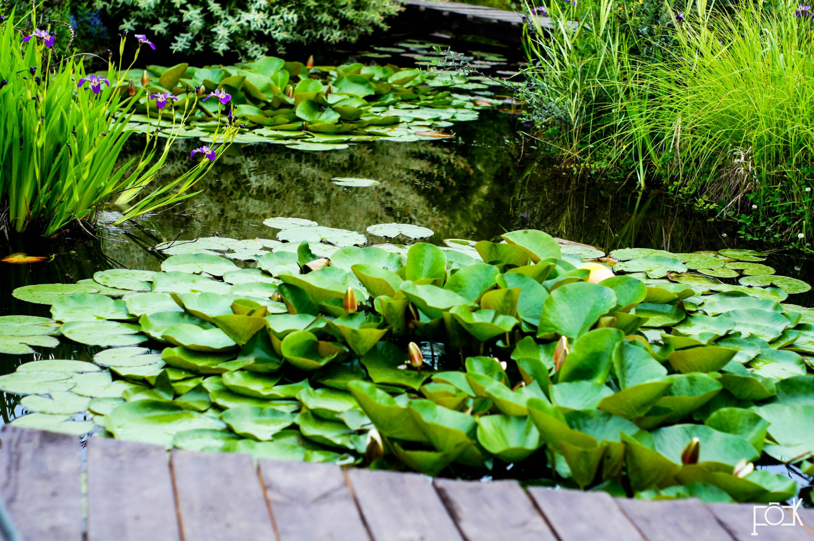 Обложка проекта: Гостевой сад Ландизайн