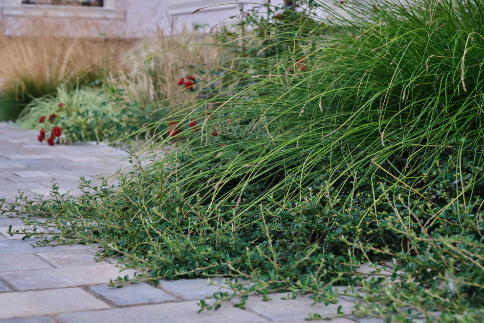 "Сад коллекционера" в Раменском районе Подмосковья