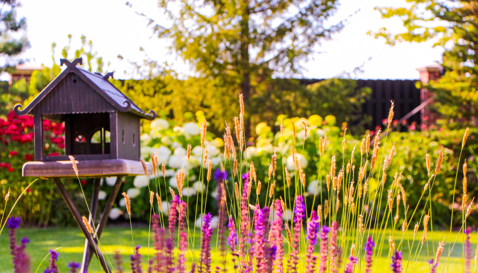 Горки-10, 2017-2020 г.г.