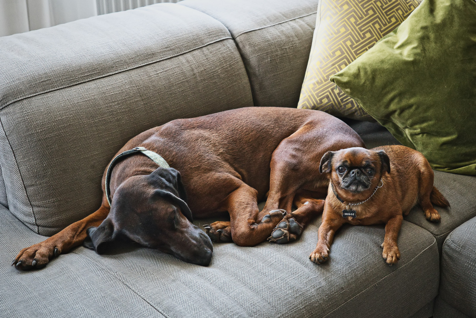 Квартира на Циолковского