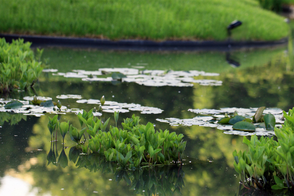 Геометрия природы Moscow Flower Show 2017