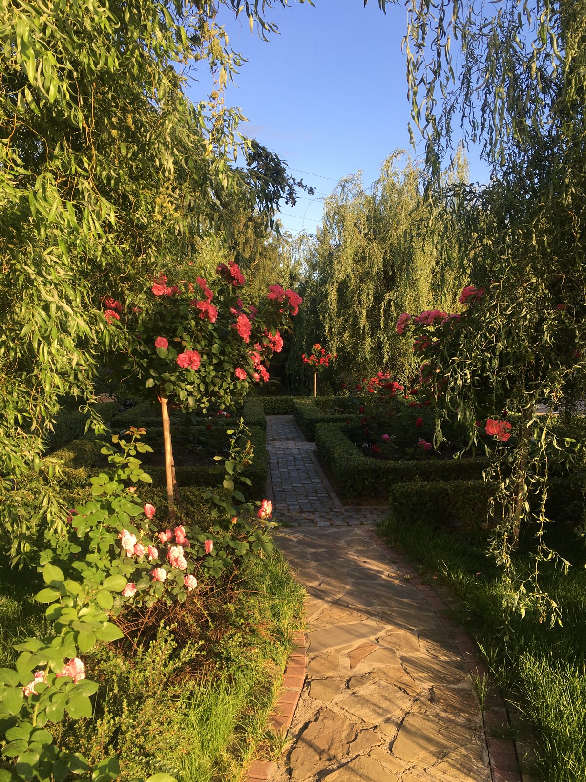 Парк в городе