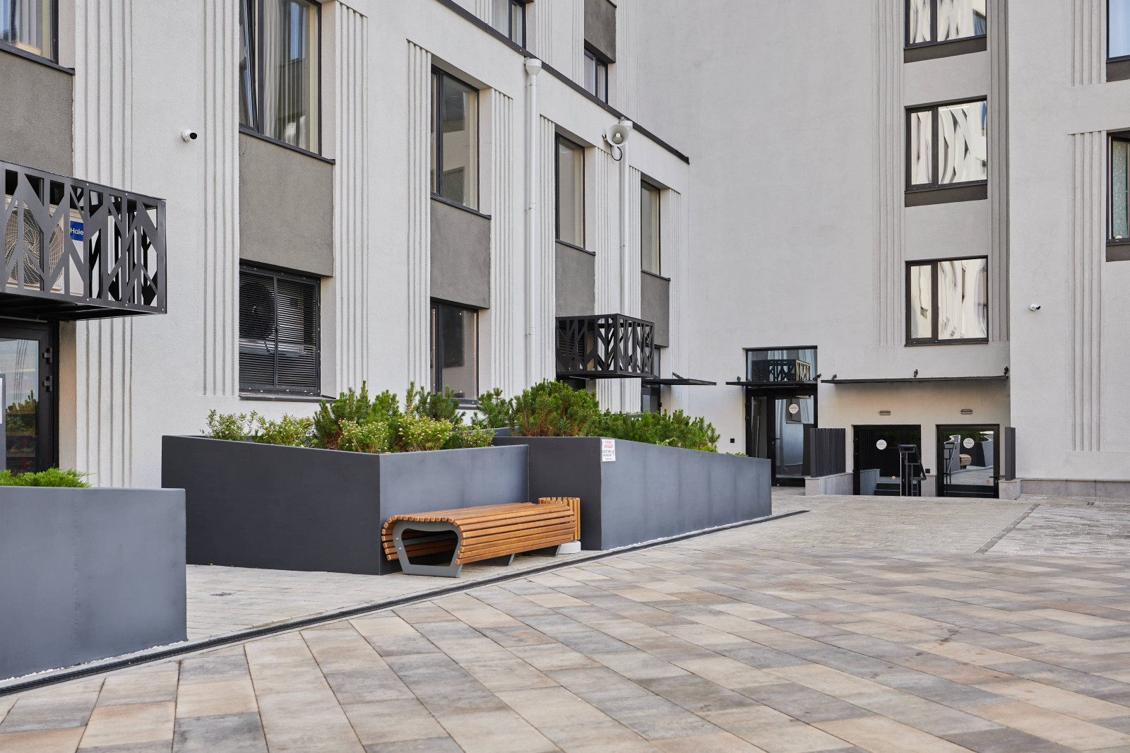 Елена Голубева