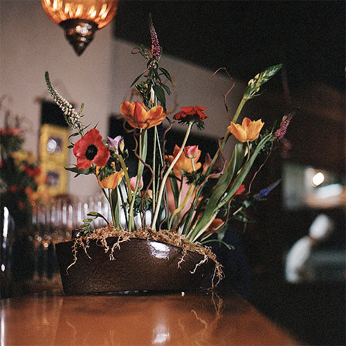 Фитодизайн интерьера