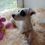 Татьяна Смирнова