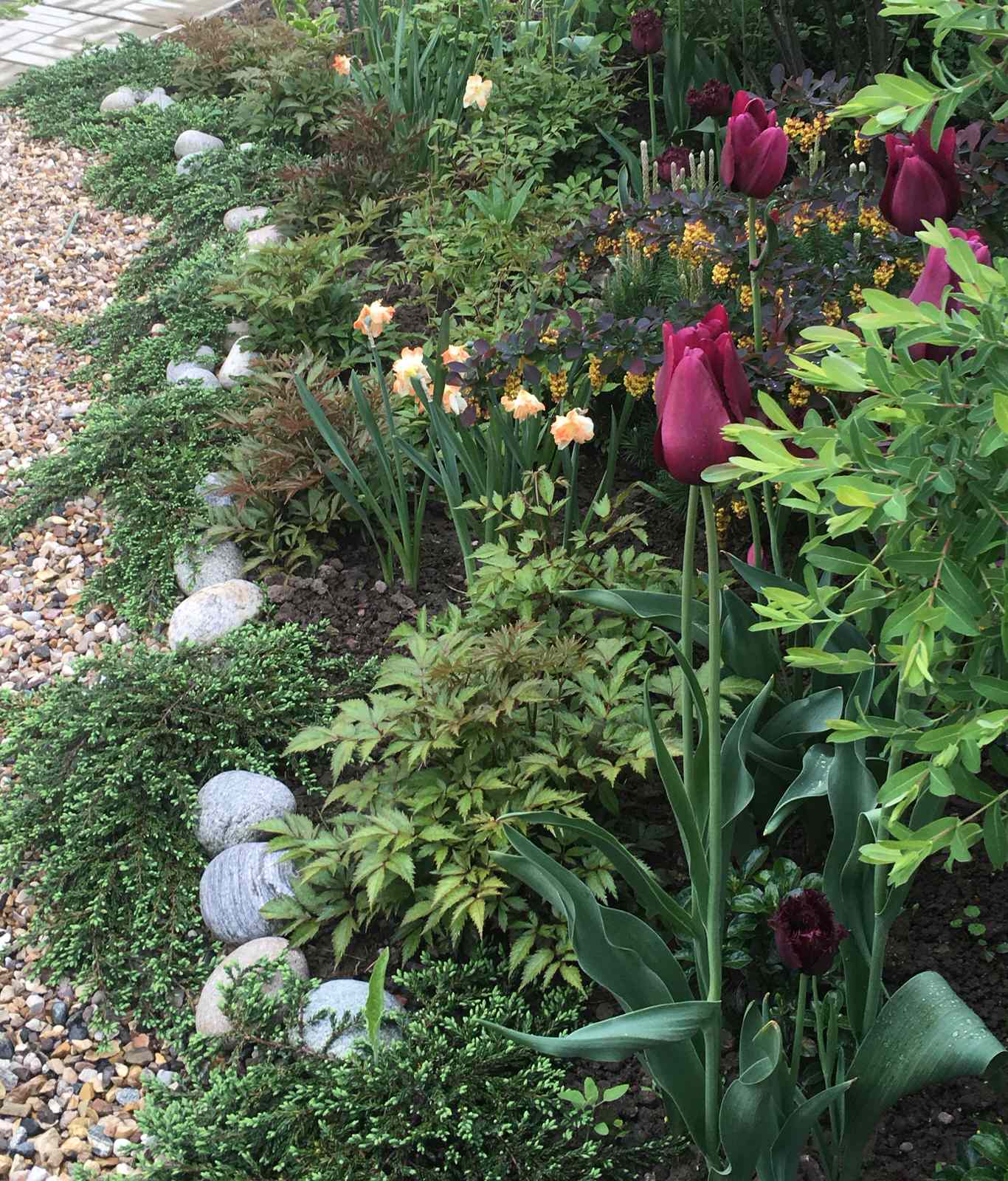 Проект "Сад  для Мамы"