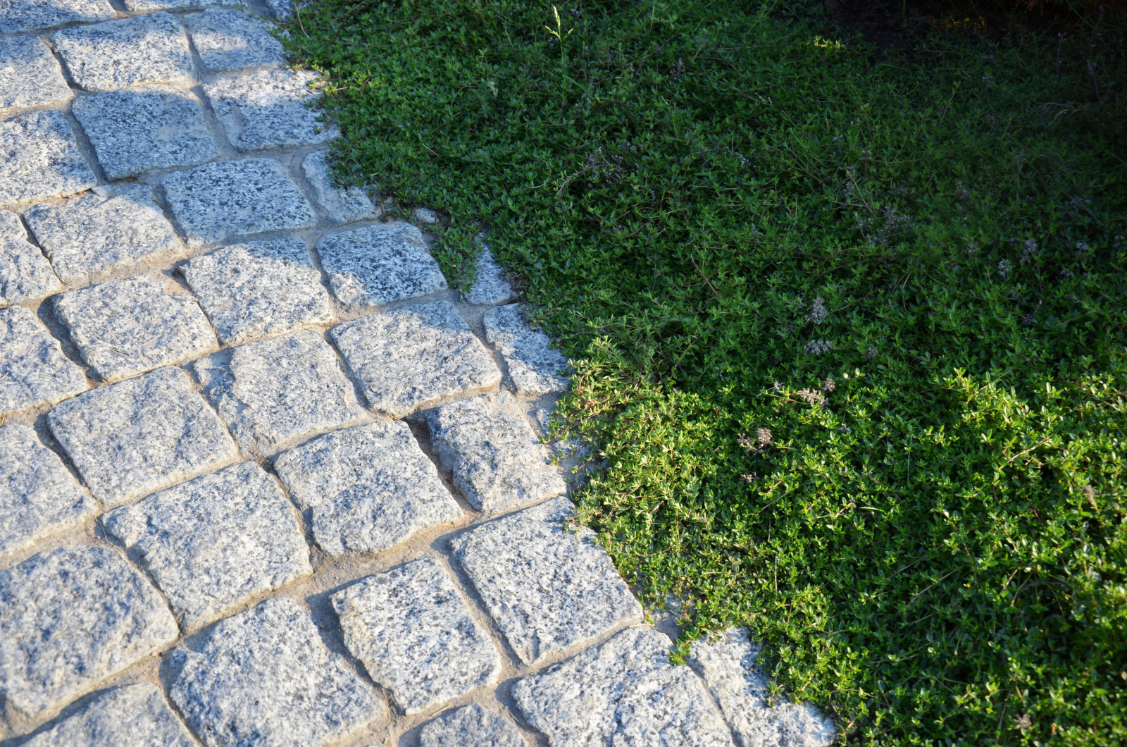 Итальянский сад в КП Европа 2013 г