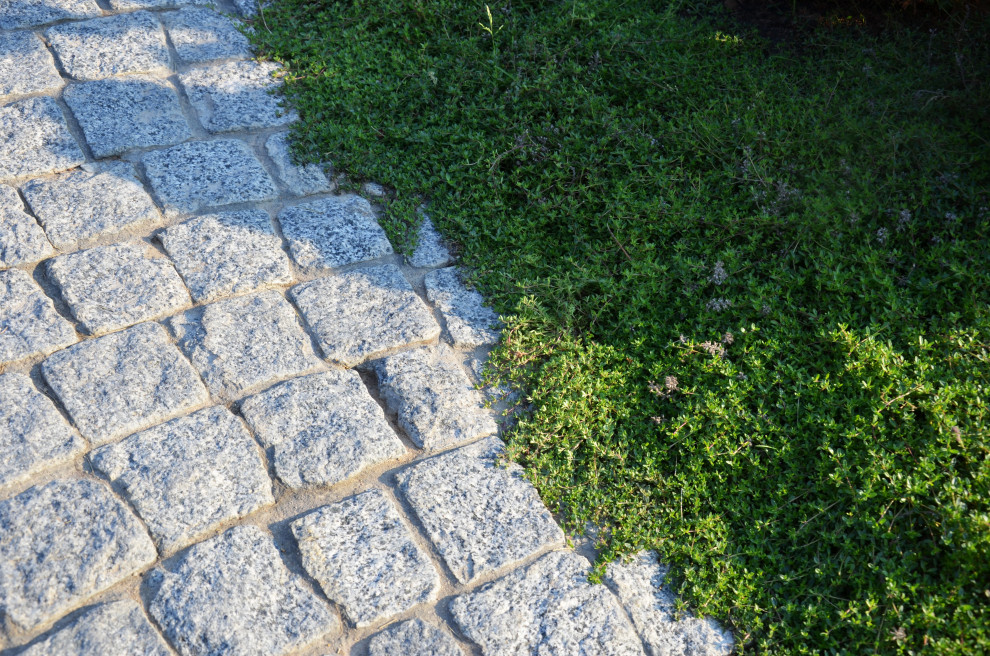 Итальянский сад в КП Европа 2013 г