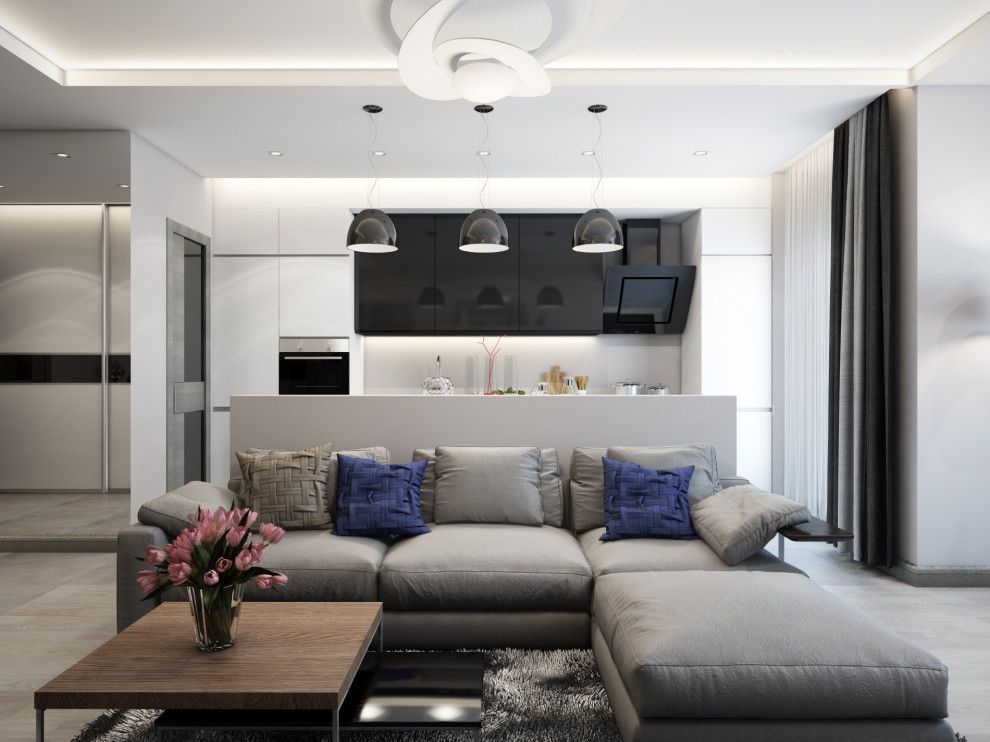 Обложка проекта: Interior design in apartment "Monochromnity"