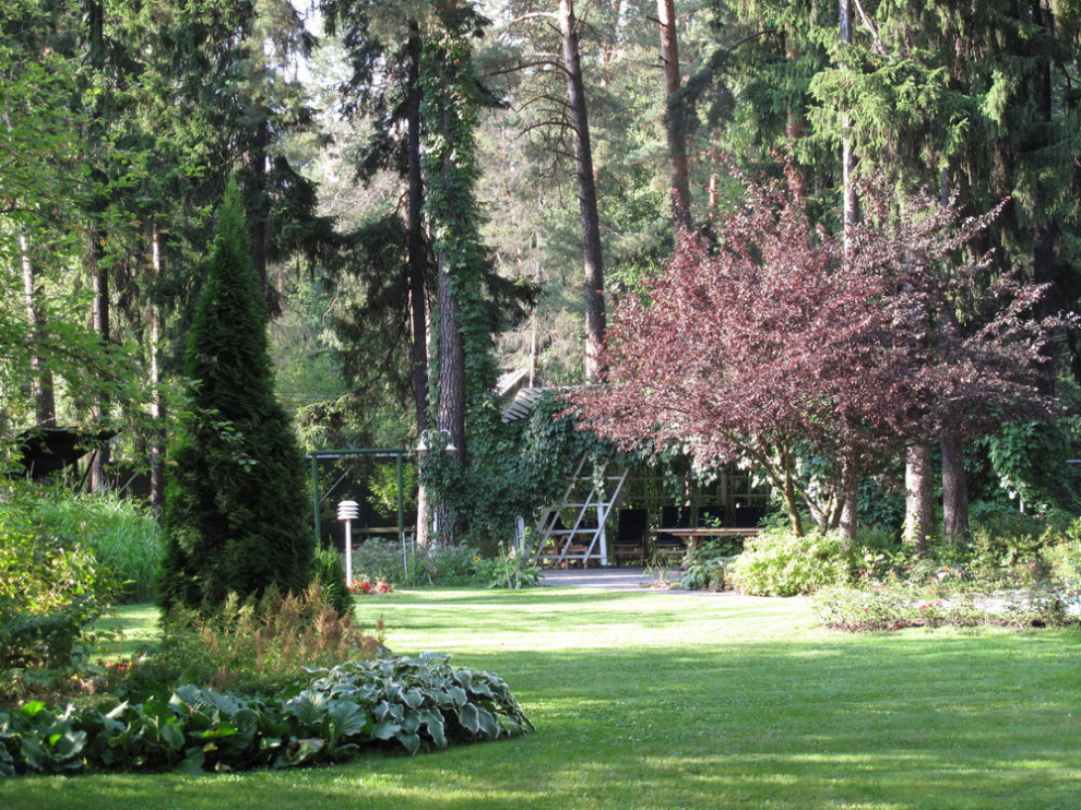 Обложка проекта: Быково