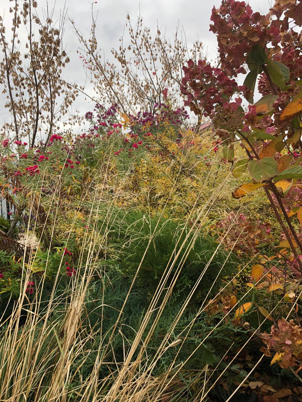 Сад трав и цветов.