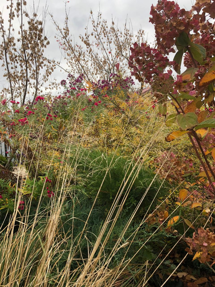 Сад трав и цветов.