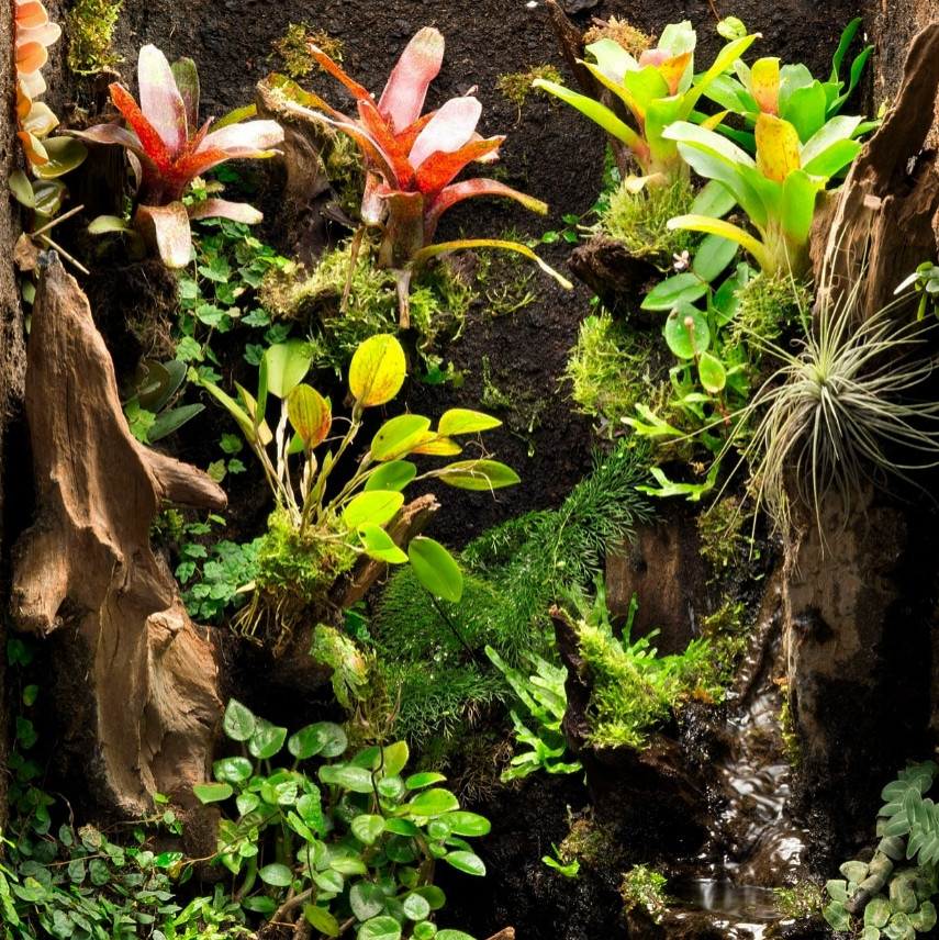 Флорариум 2