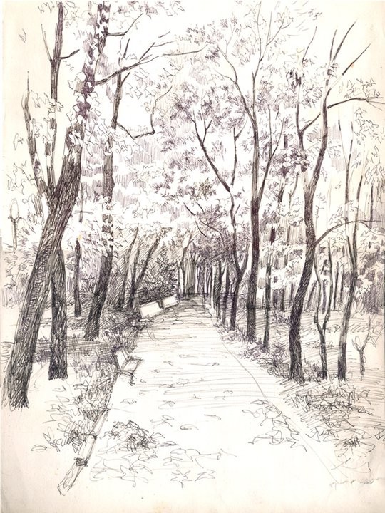 Мои черно-белые рисунки