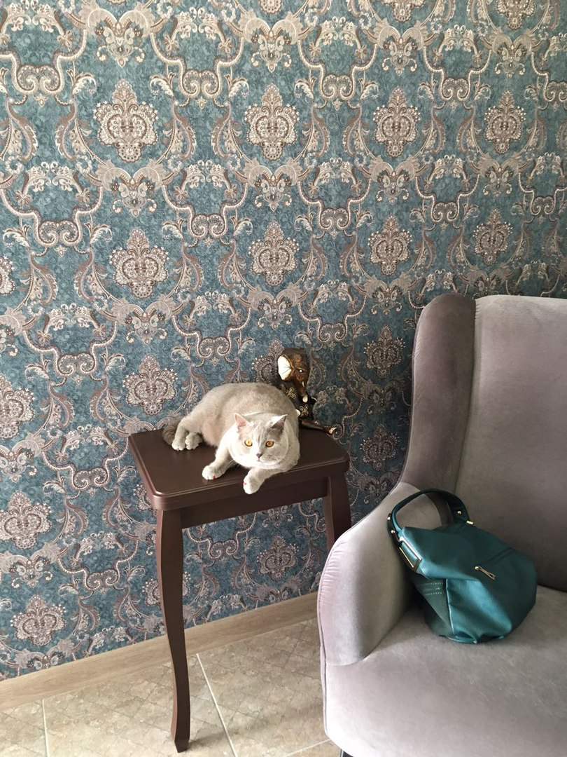 Обложка проекта: Квартира в ЖК Донской