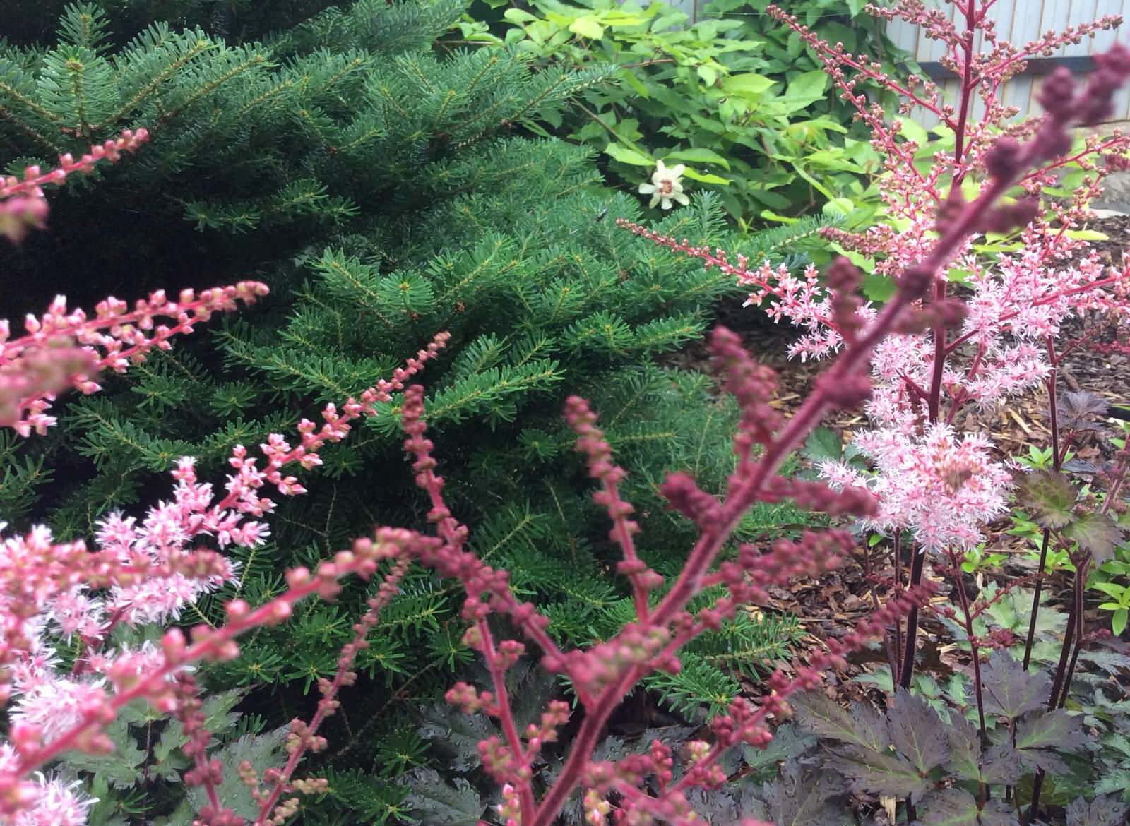 СНЫ О ЧЕМ_ТО БОЛЬШЕМ...