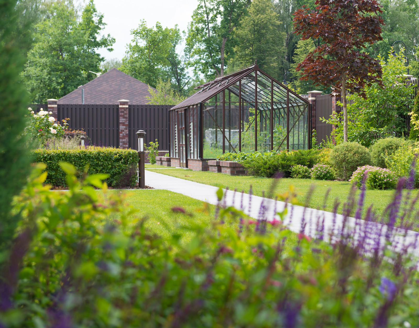 Летова роща